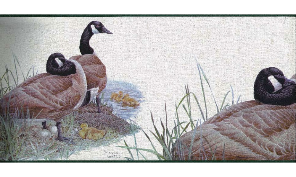 🔥 Free download Hey Diddle Diddle Wallpaper Border Decals Mother Goose