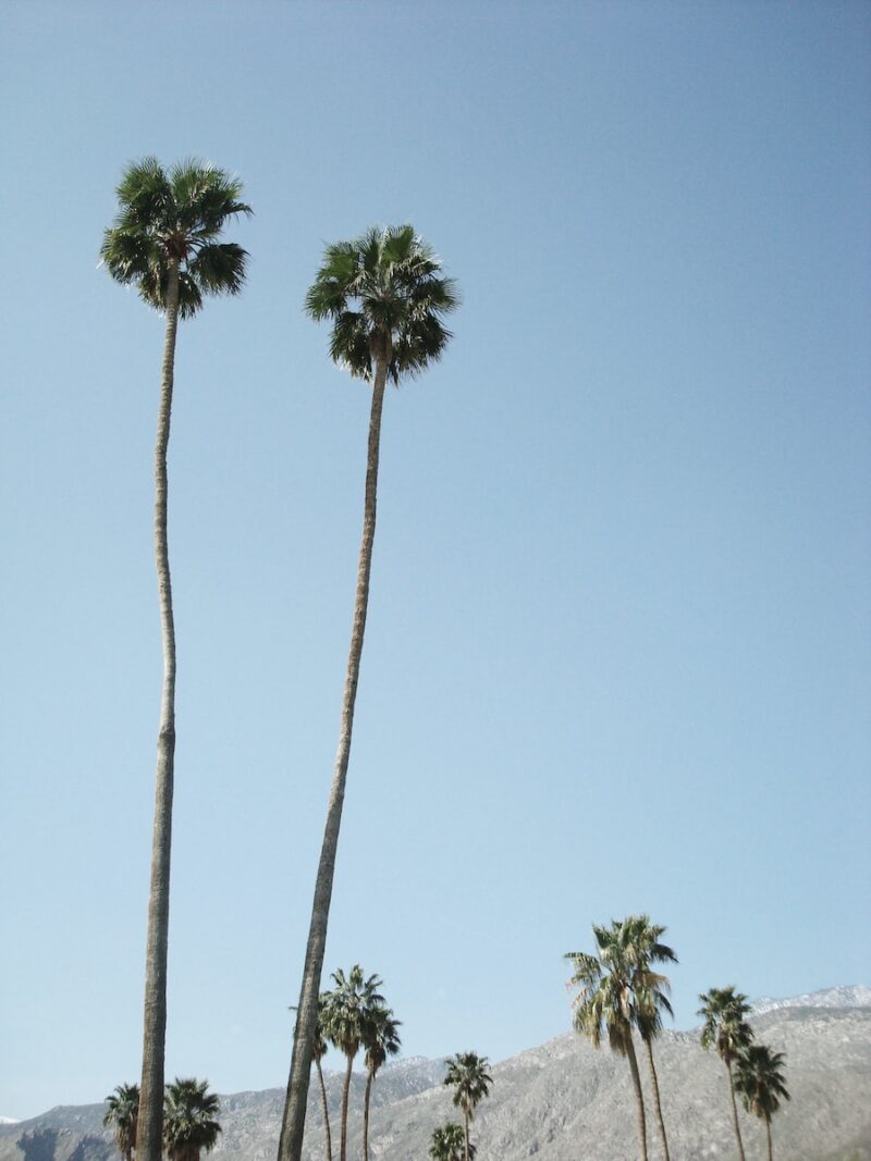 Los Angeles Wallpaper That Show The Beauty Of La