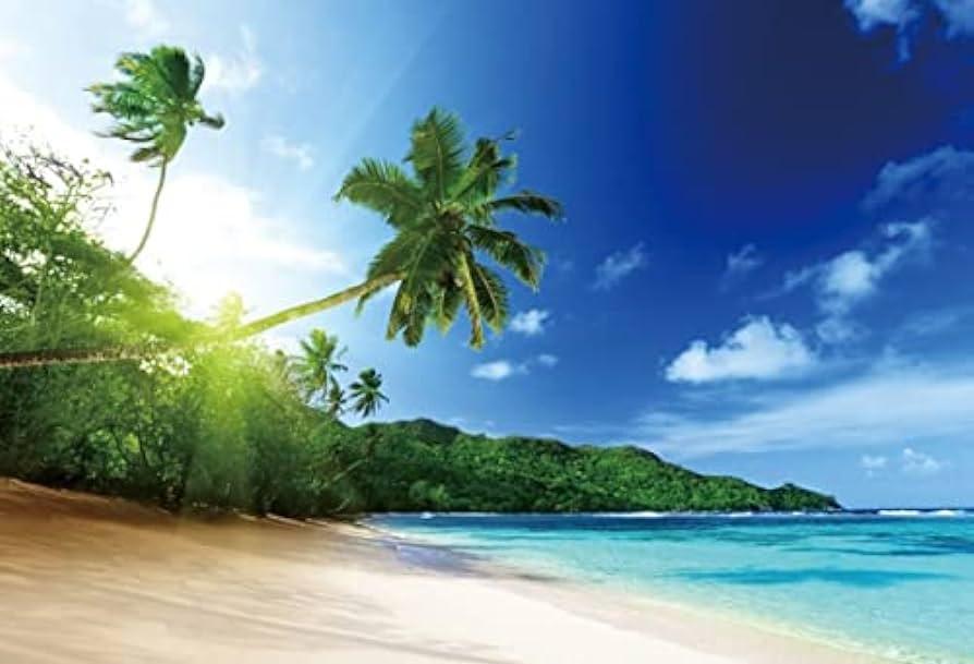 Amazon Sea Background Tropical Summer Beach Sand Blue Sky