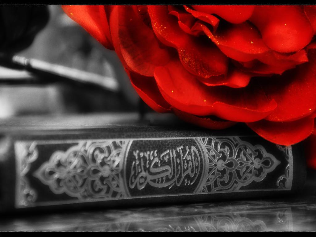 Islamic Wallpaper Quran With Rose