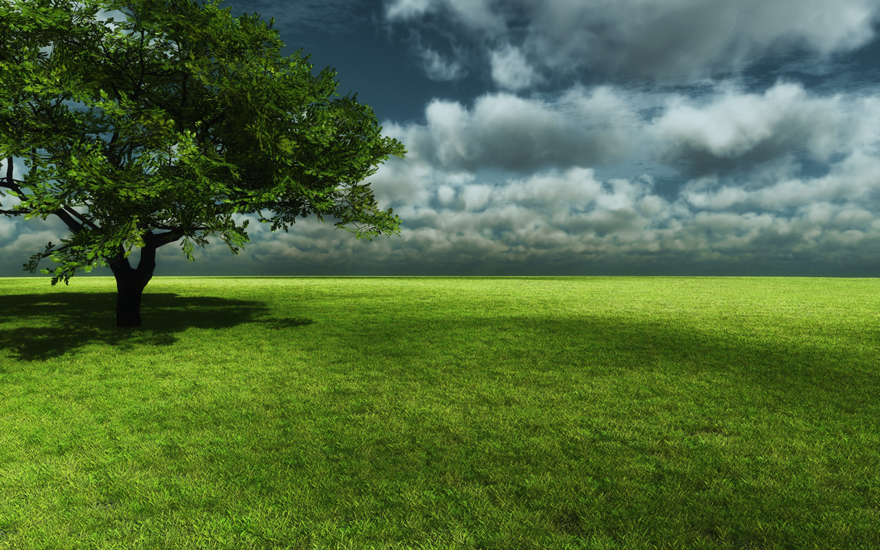 green relaxing background