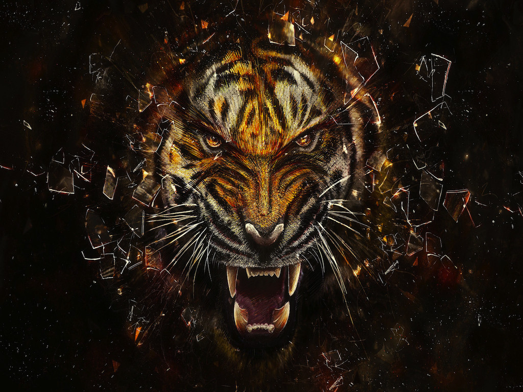 Face Tiger Art Cool Wallpaper HD Background