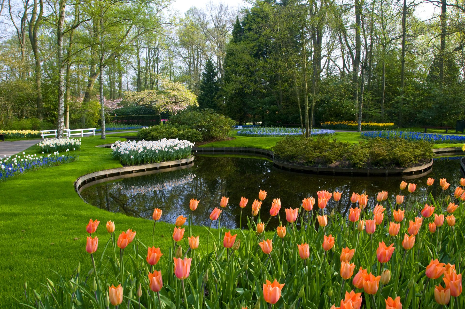 Spring Garden Keukenhof Gardens Lisse Holland Wallpaper HD