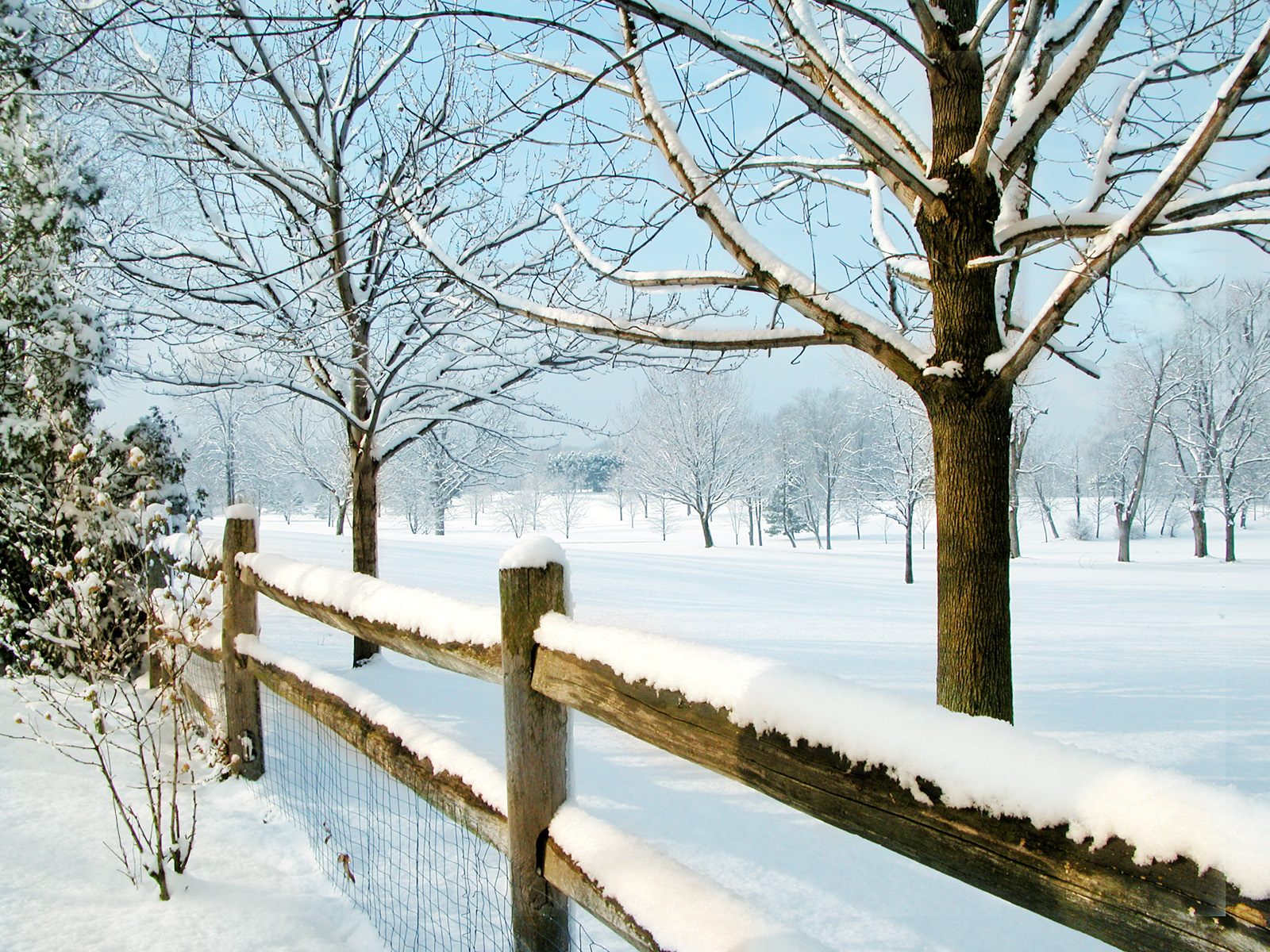 Winter Scene Cool HQ BAckgrounds and Wallpapars Blu Ray