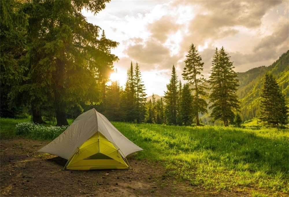 Forest Camping 4k Wallpapers  Wallpaper Cave