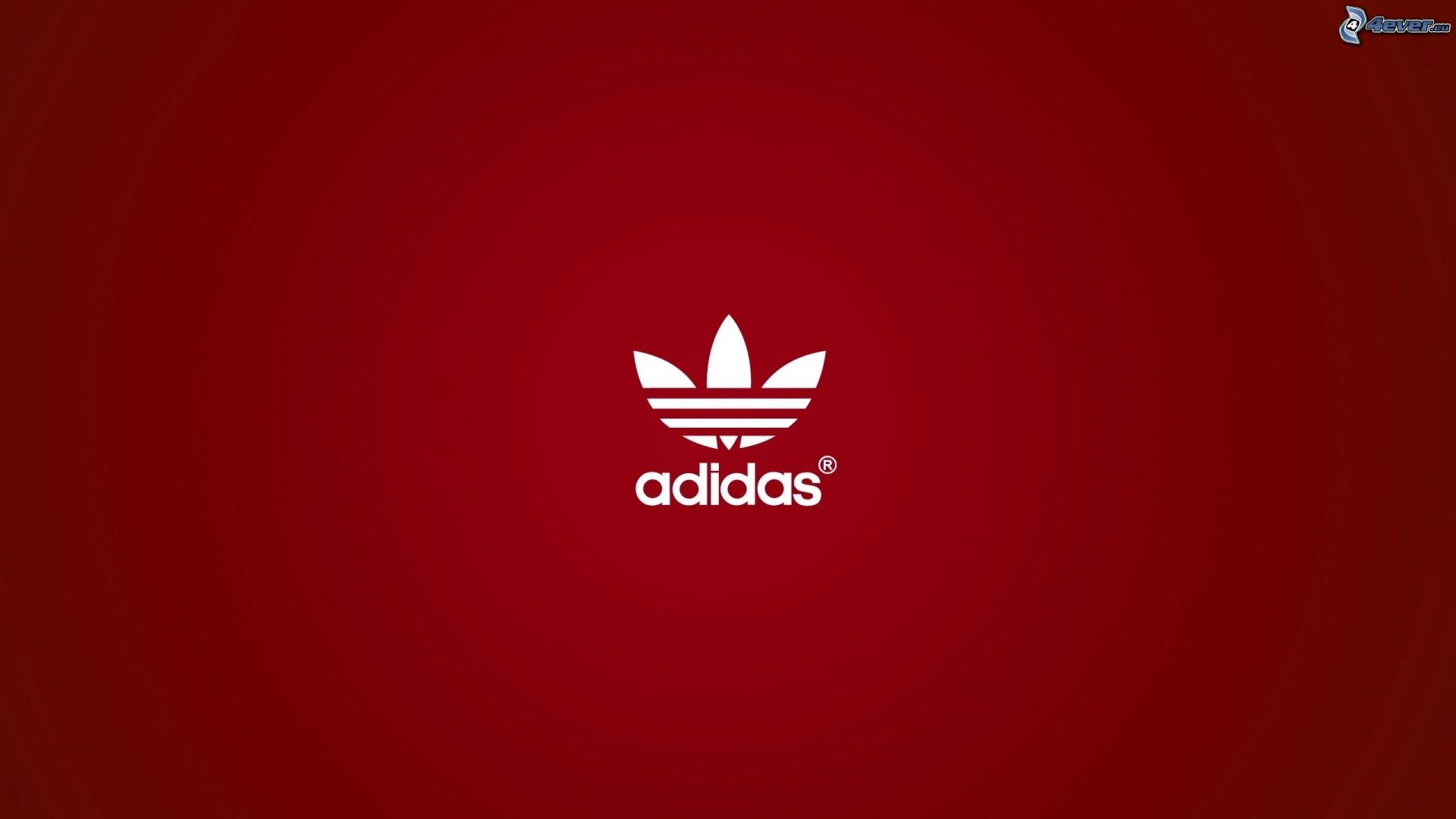 Adidas Originals Logo Black