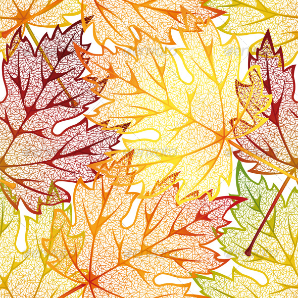 Autumn leaves GraphicRiver