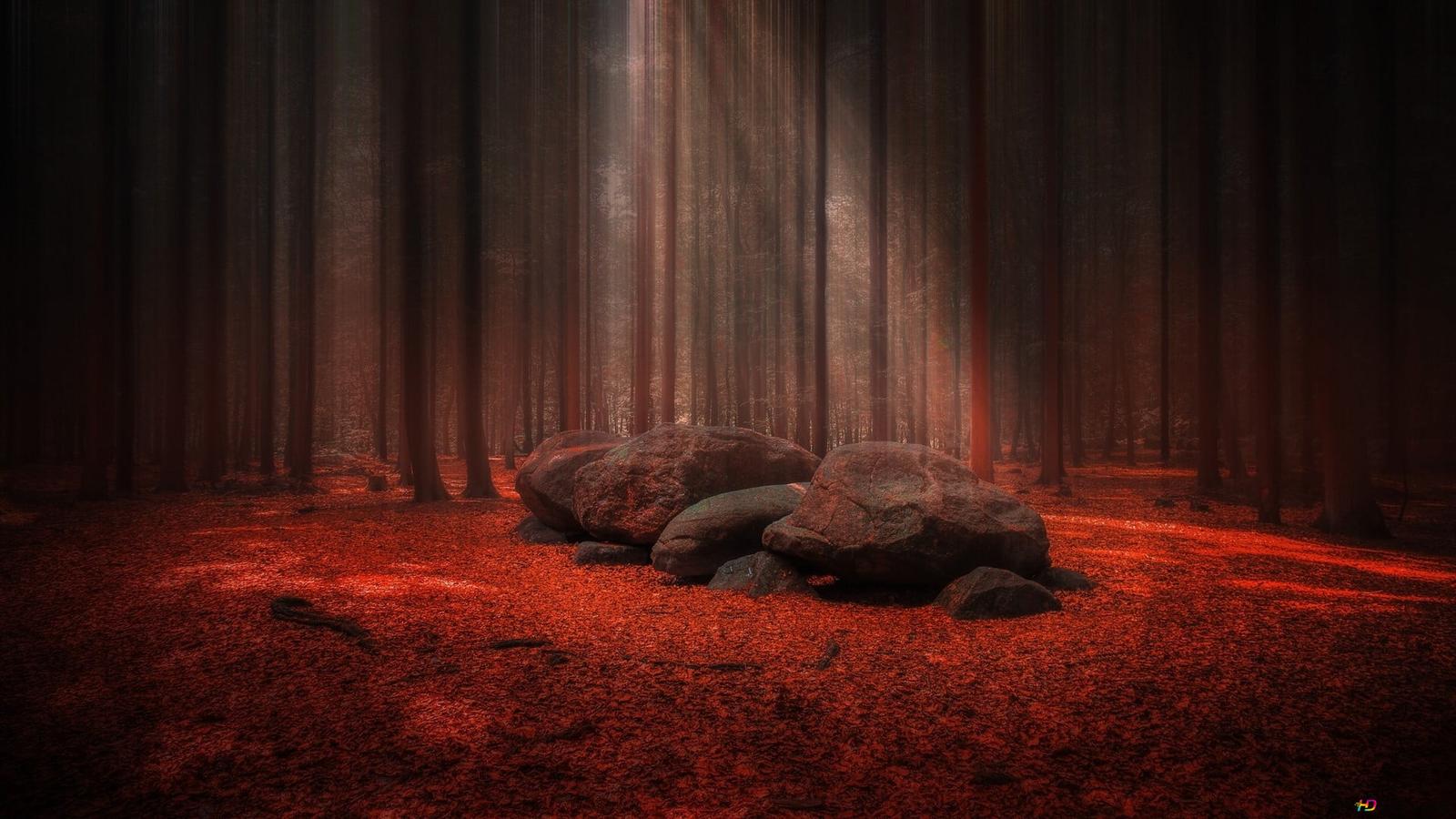 Red Forest HD Wallpaper
