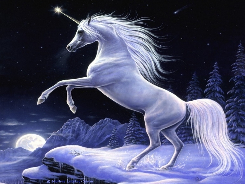 Abstract Fantasy Moonlight Magic Unicorn Sharlene Lindskog Wallpaper