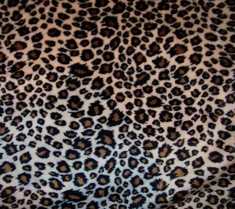 Go Back Gallery For Cheetah Print Desktop Wallpaper