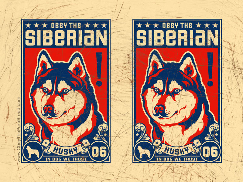 Obey Propaganda Wallpaper Obeythepurebreed Siberian