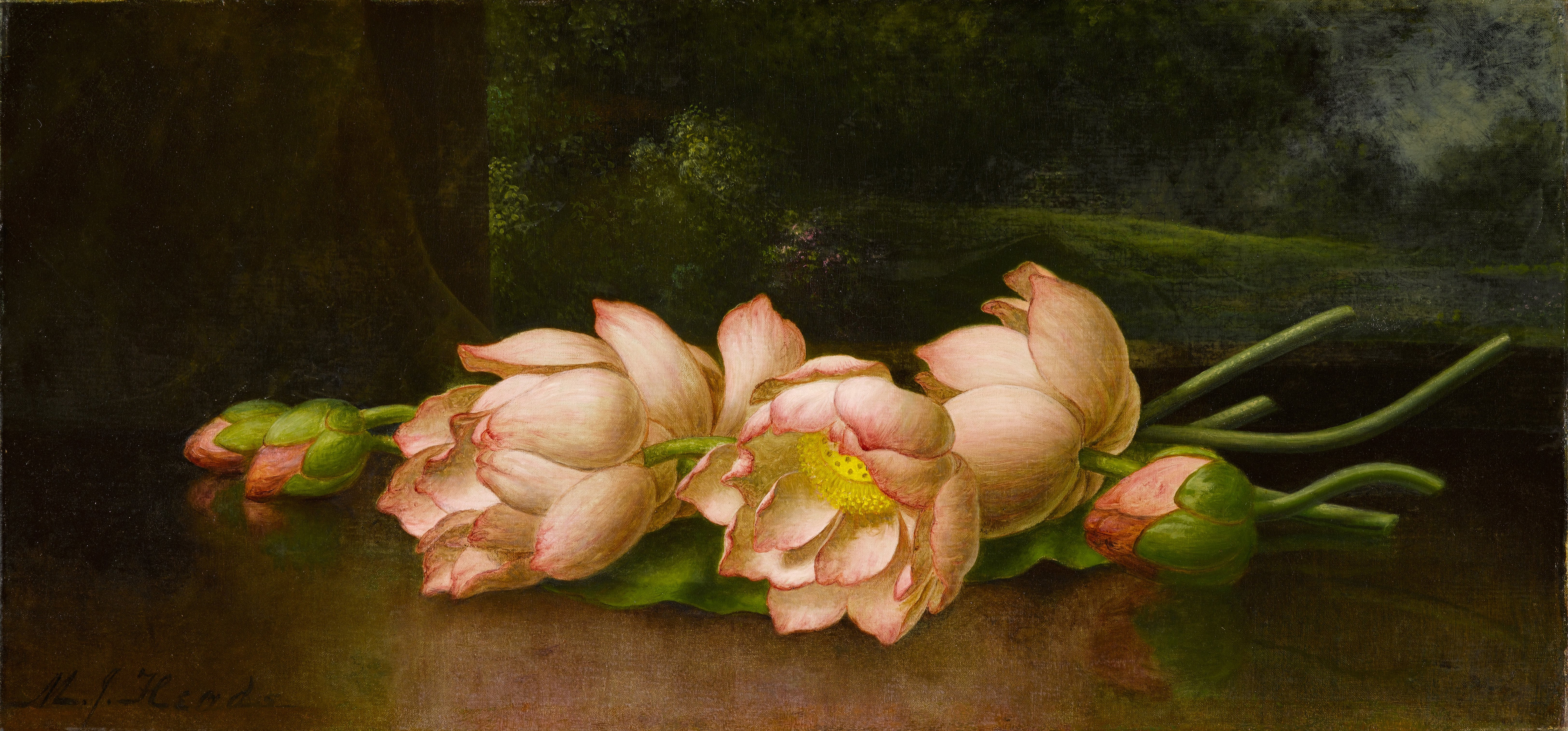 File Lotus Flowers A Landscape Painting In The Background