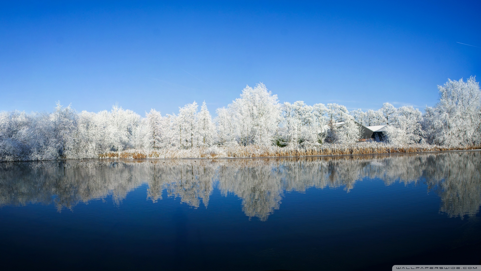 Panoramic Photography Winter Wallpaper