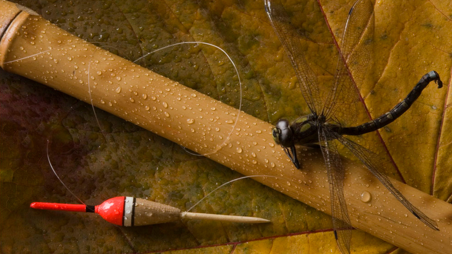 Fishing Puter Wallpaper Desktop Background Id