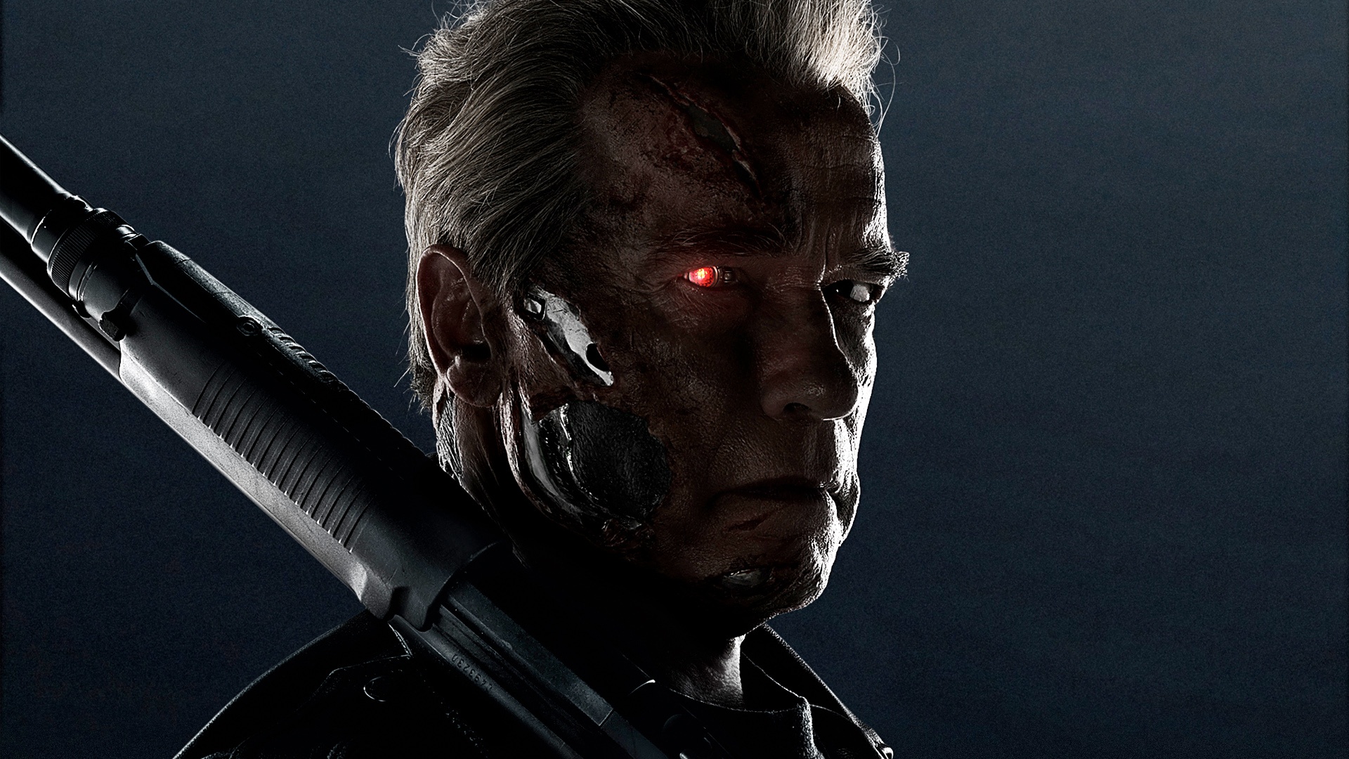Arnold Terminator Genisys HD Wallpaper Search More High