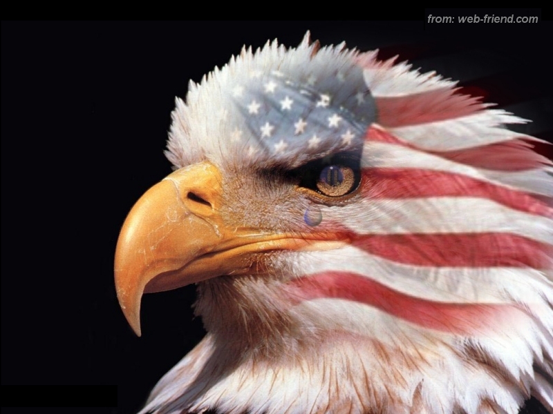 Usa Flag Wallpaper Eagle HD 3d