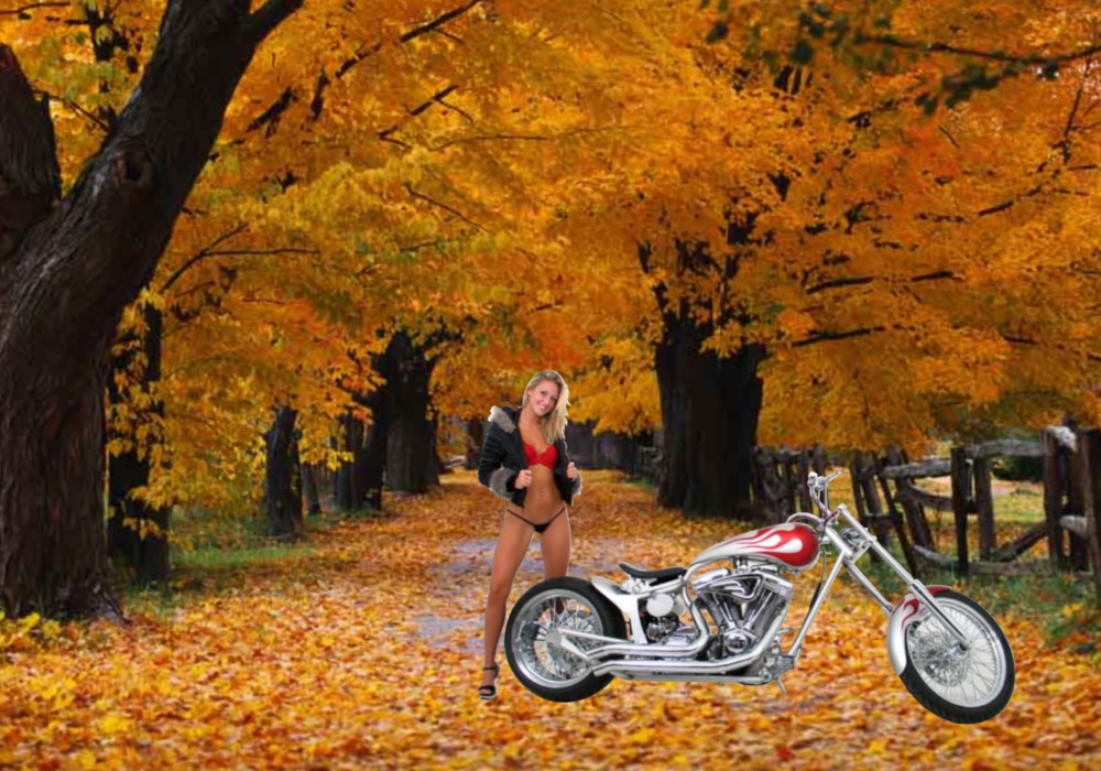Bikes Wallpaper Harley Davidson Beautiful Girls
