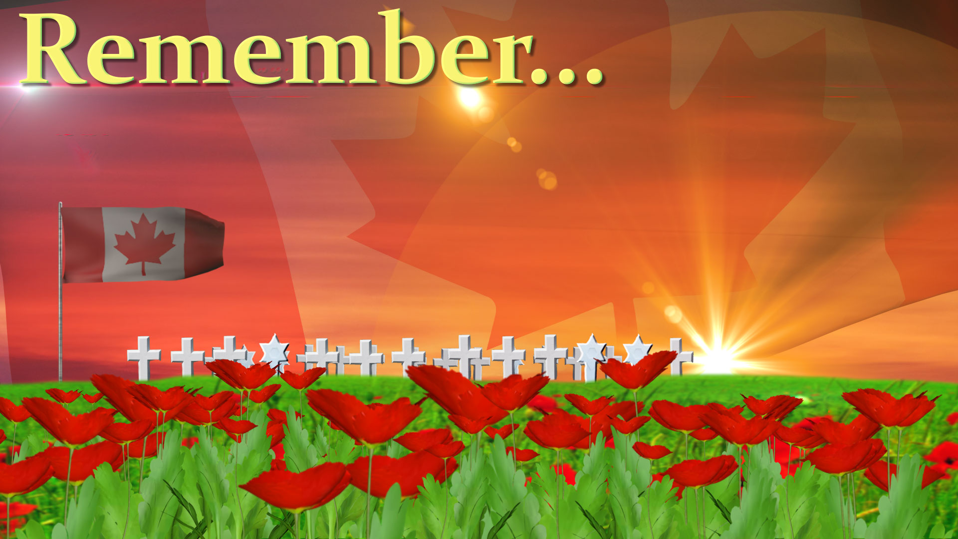 Remembrance Day Wallpaper On