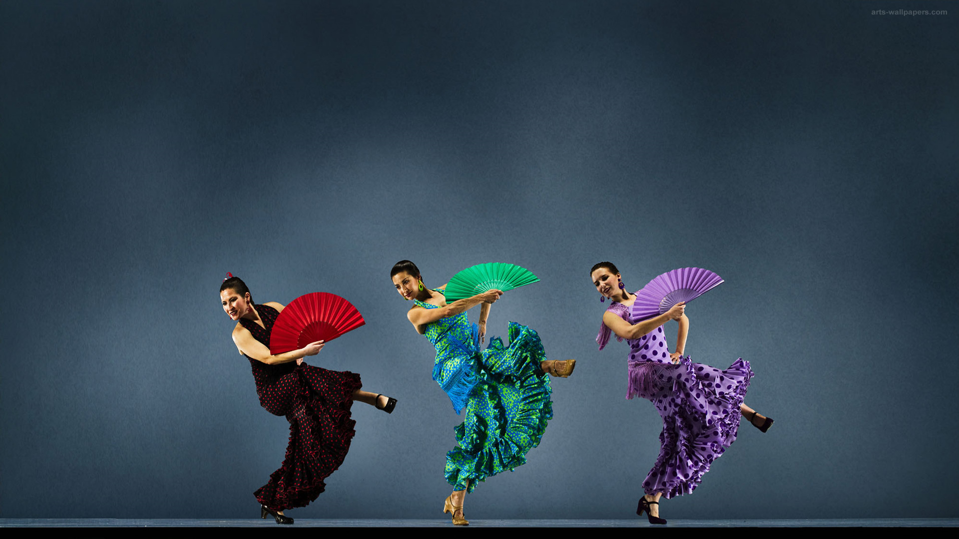 Flamenco Image HD Wallpaper And Background