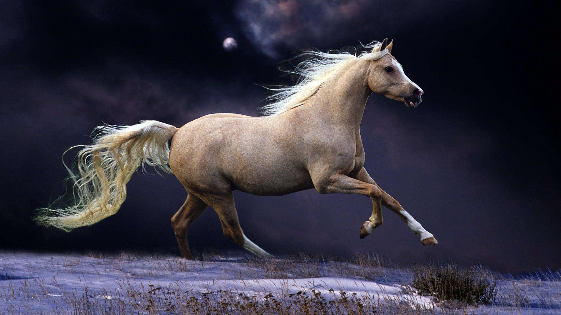 Beautiful Wallpaper Image