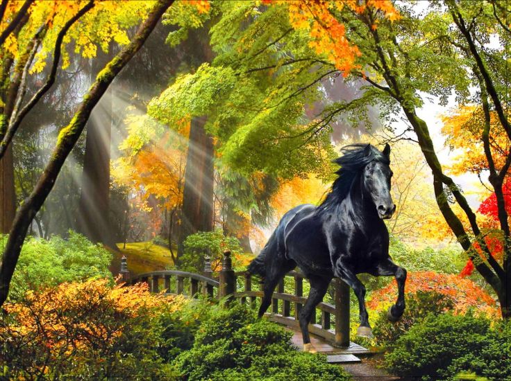 Fall Rays Horse Beautiful Trees Art Enchanted Bridge Magical Colors