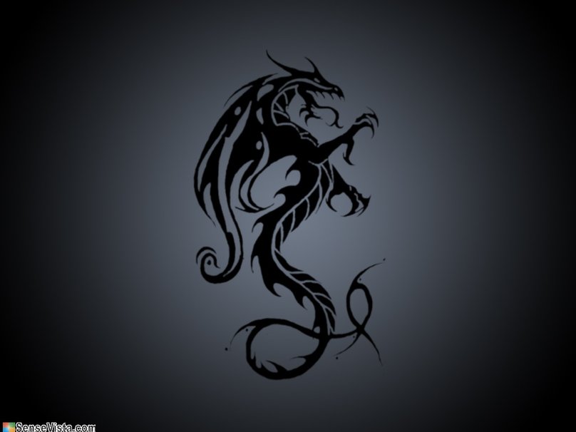 Grifo Dragon Tattoo Wallpaper