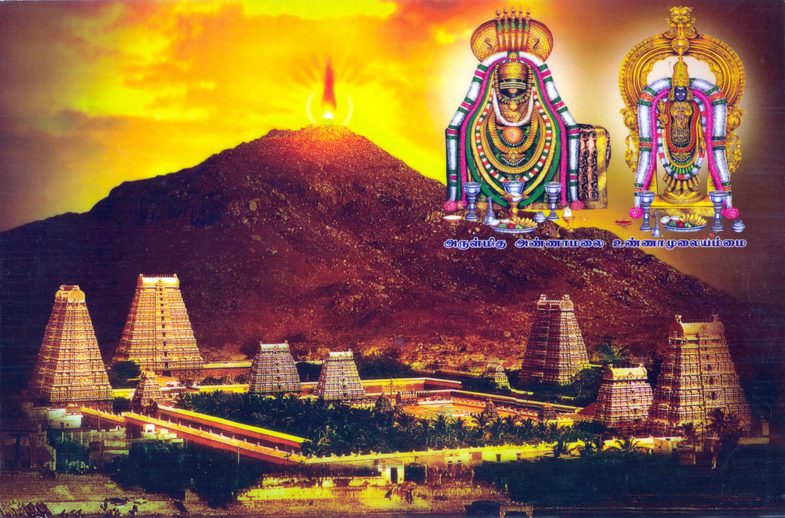 Thiruvannamalai Karthigai Deepam Festival Divineinfoguru