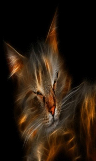 Bigger Flame Cat Live Wallpaper For Android Screenshot