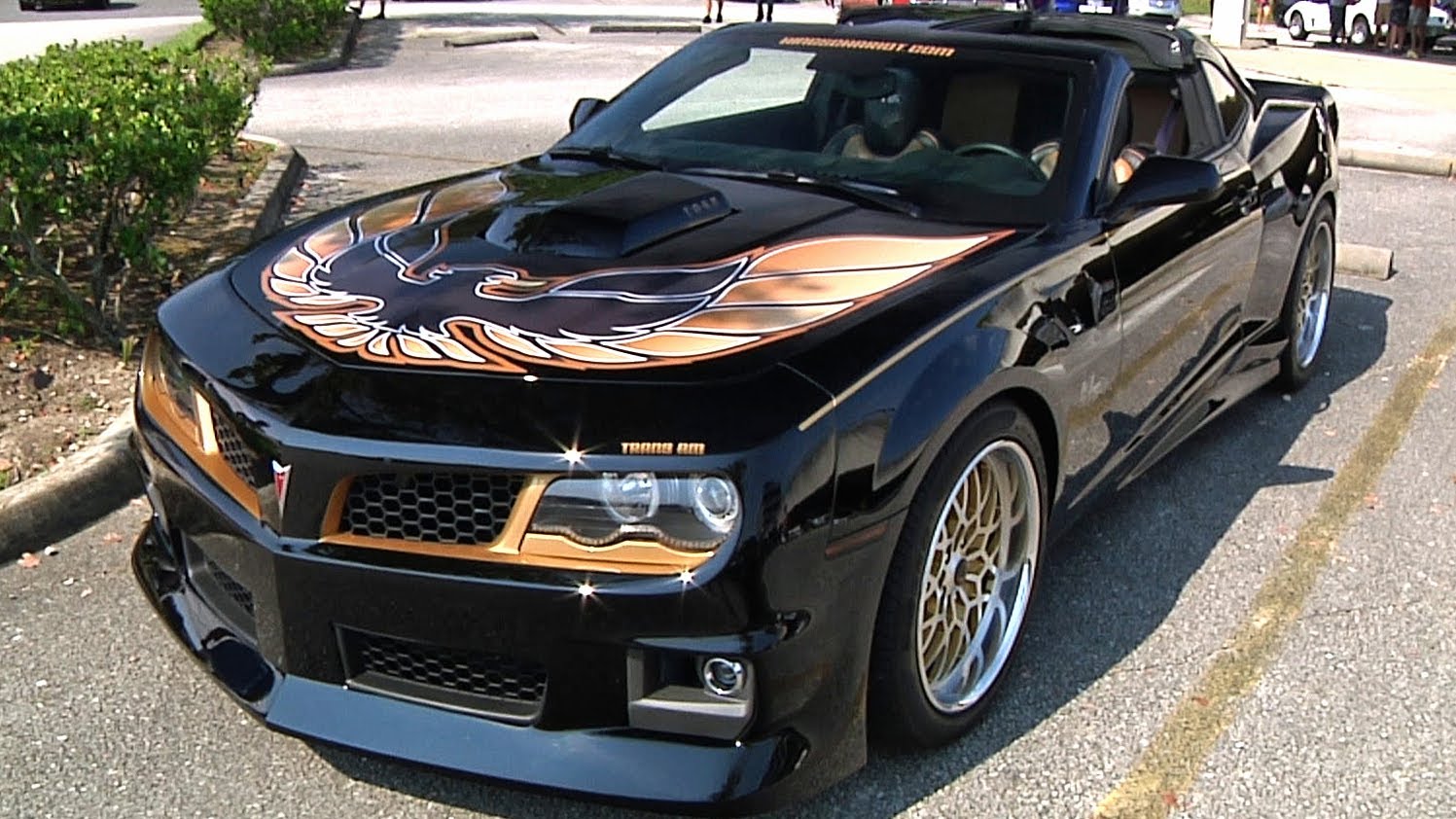 Displaying Image For Trans Am