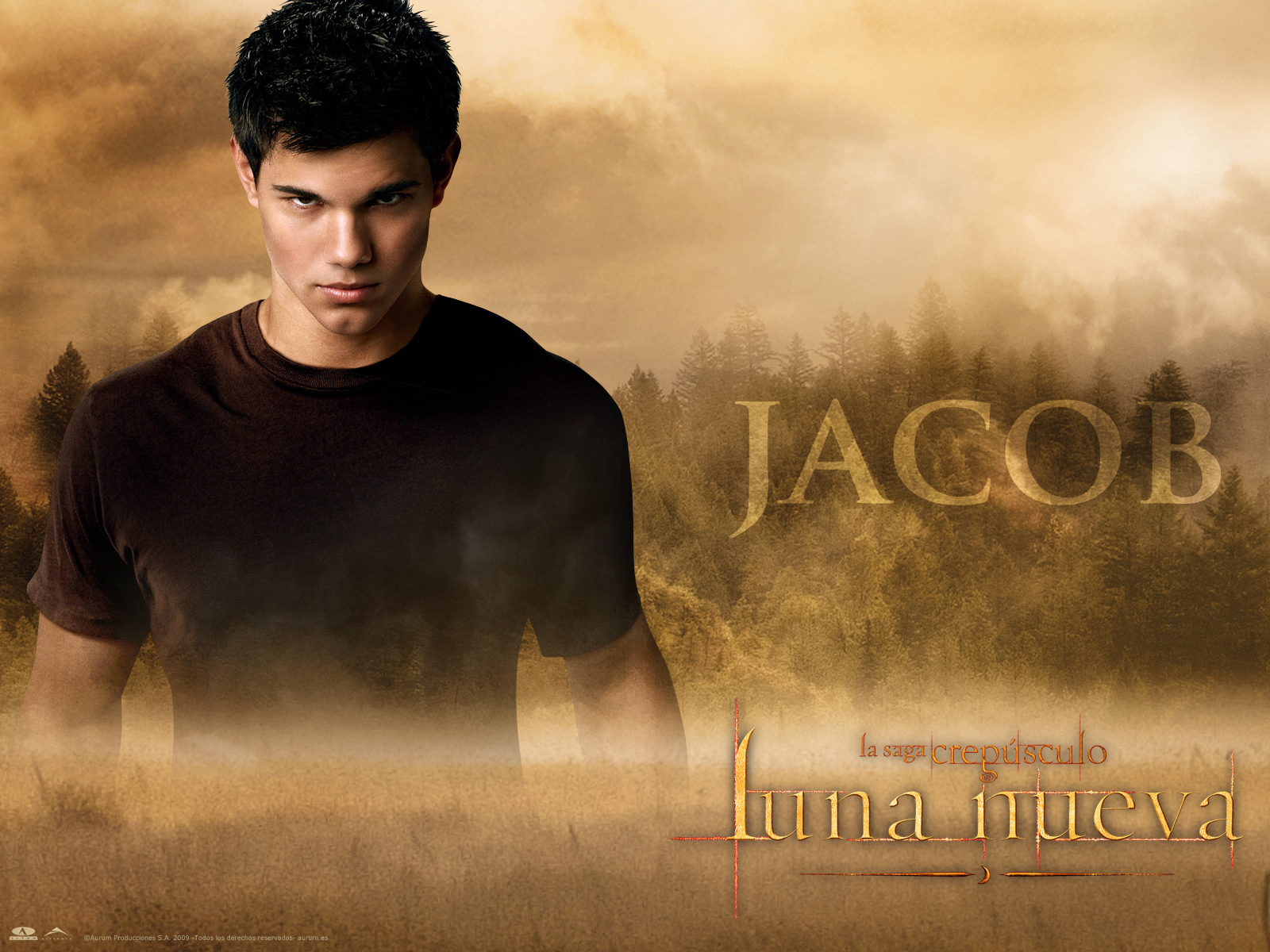 Twilight Saga Jacob Black Movie Taylor Lautner