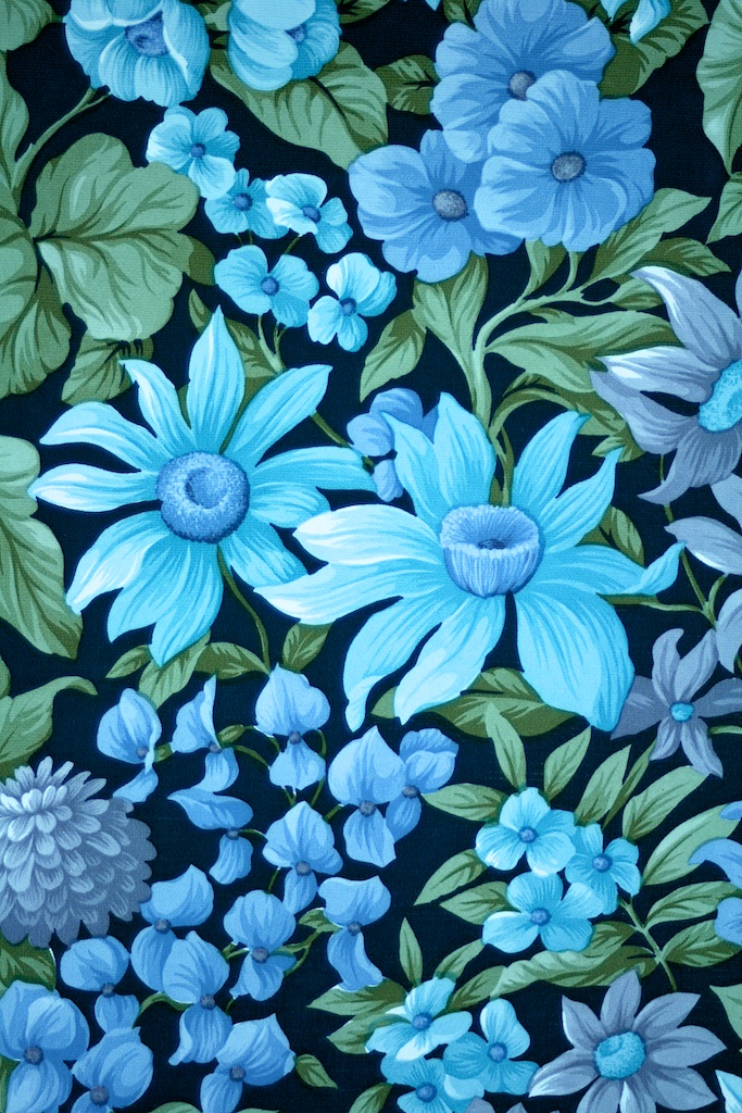 Blue flowers Wallpaper 4K Petals Teal Black background 701