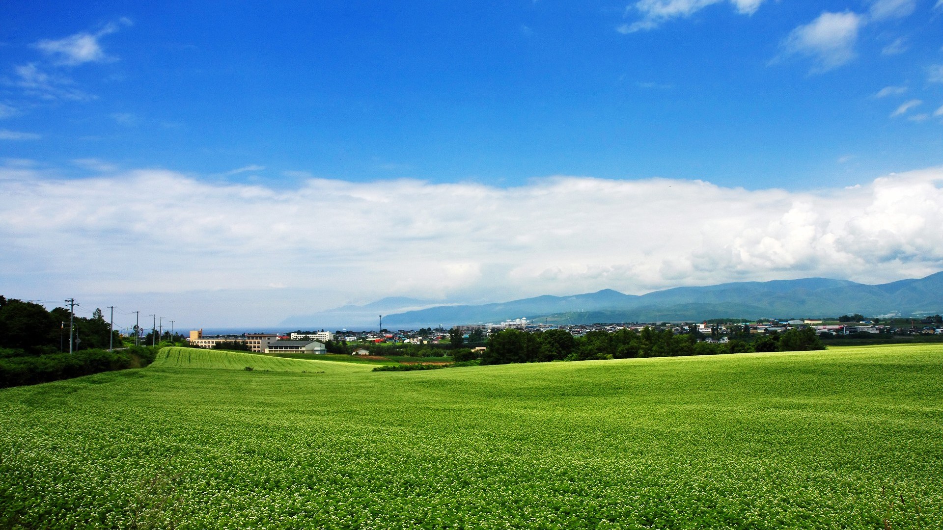 Hokkaido Country Field Open Under Sky1920x1080 Wallpaper