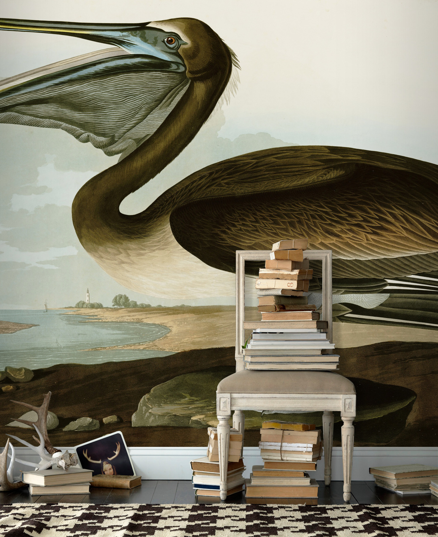 Brown Pelican Wall Mural Photo Wallpaper Audubon
