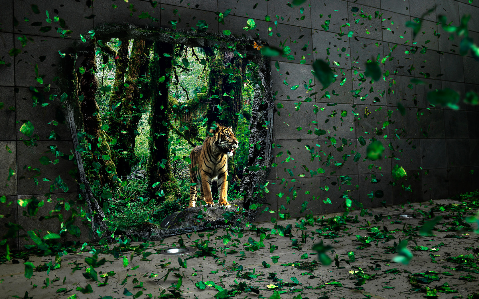 Tiger And Leaves Desktop Pc Mac Wallpaper