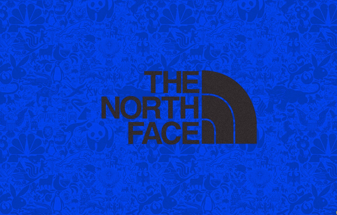 Free Download Wallpaper Background Clothing Logo Fashion 19x1080 The 1332x850 For Your Desktop Mobile Tablet Explore 17 North Face Wallpapers North Face Wallpapers North Face Hd Wallpapers The North Face Wallpapers