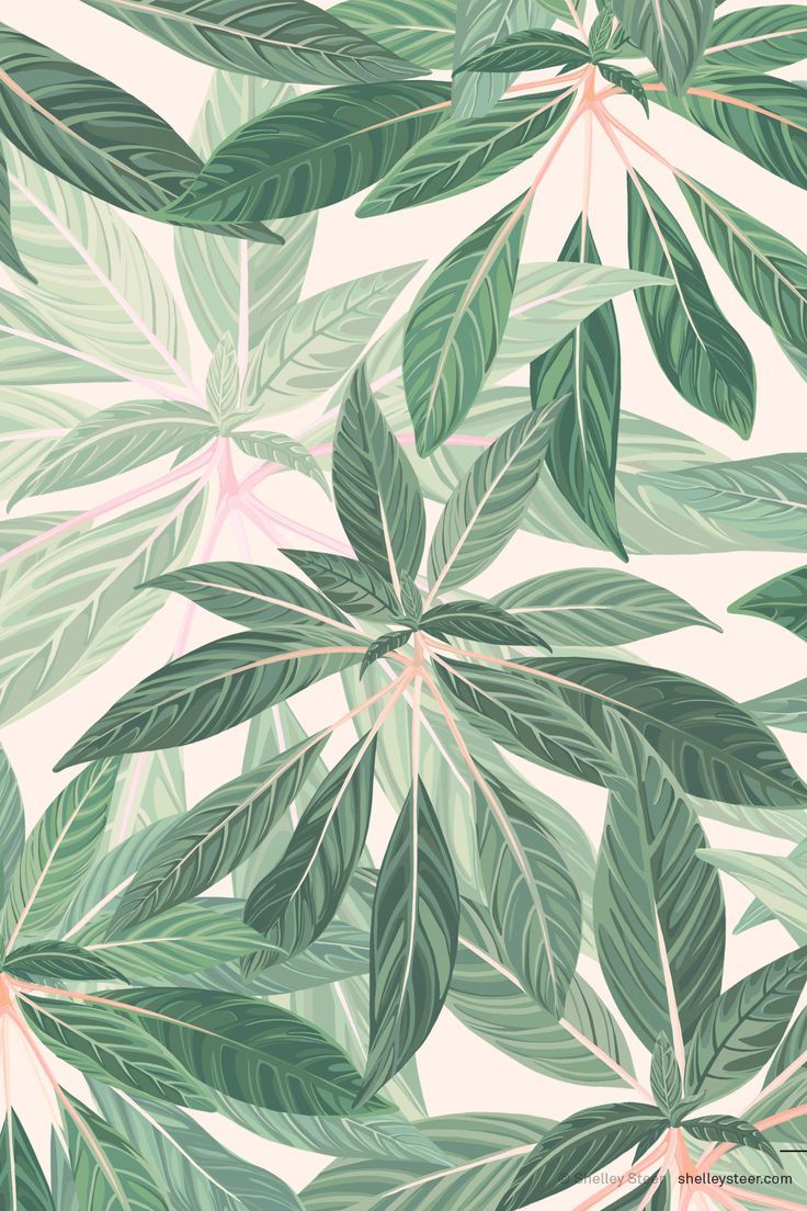 Leafy Pattern Wallpaper Green Flower