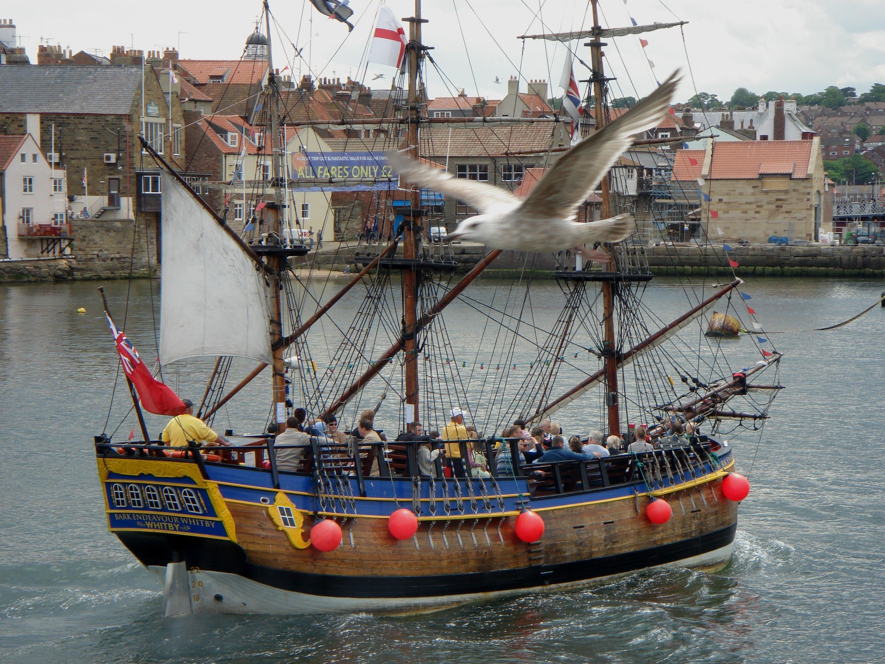 Sea Gull And The Pirates Galleon Sailing Seagull