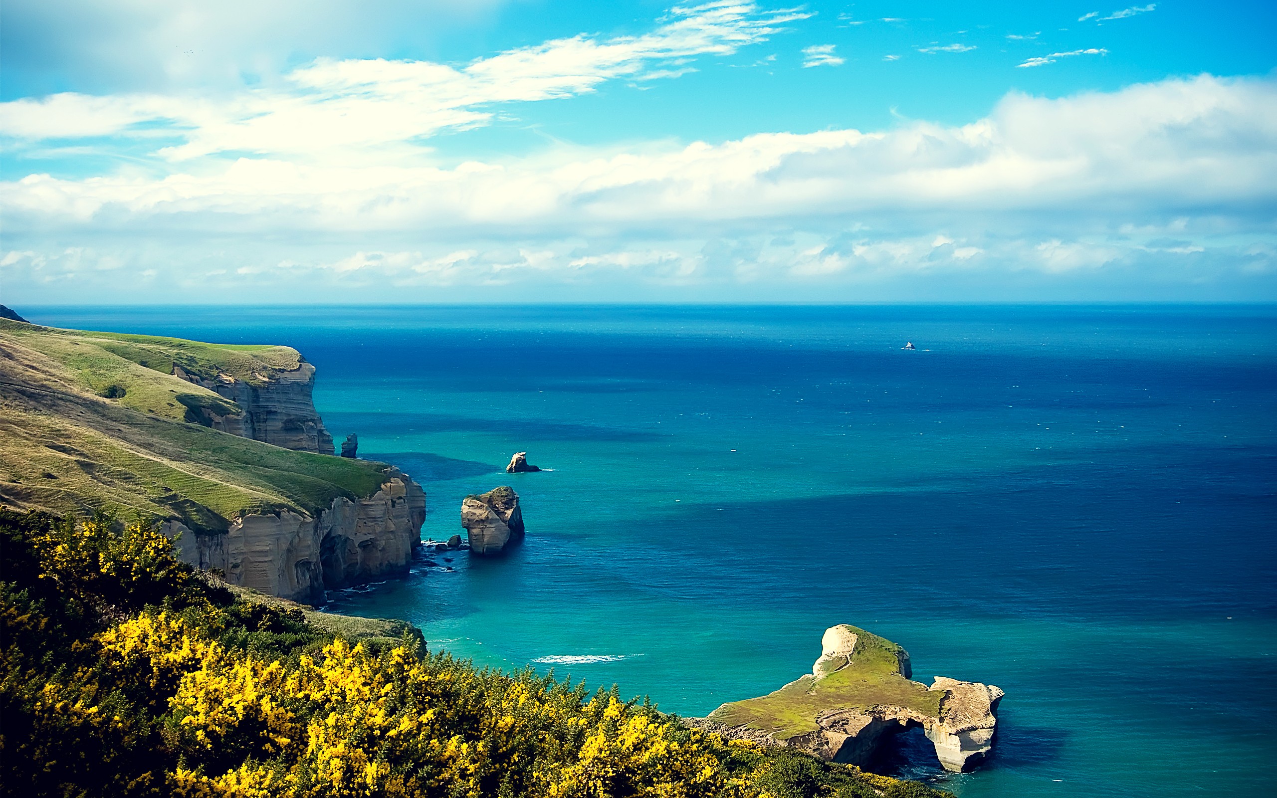 Daily Wallpaper Shores of New Zealand I Like To Waste My Time