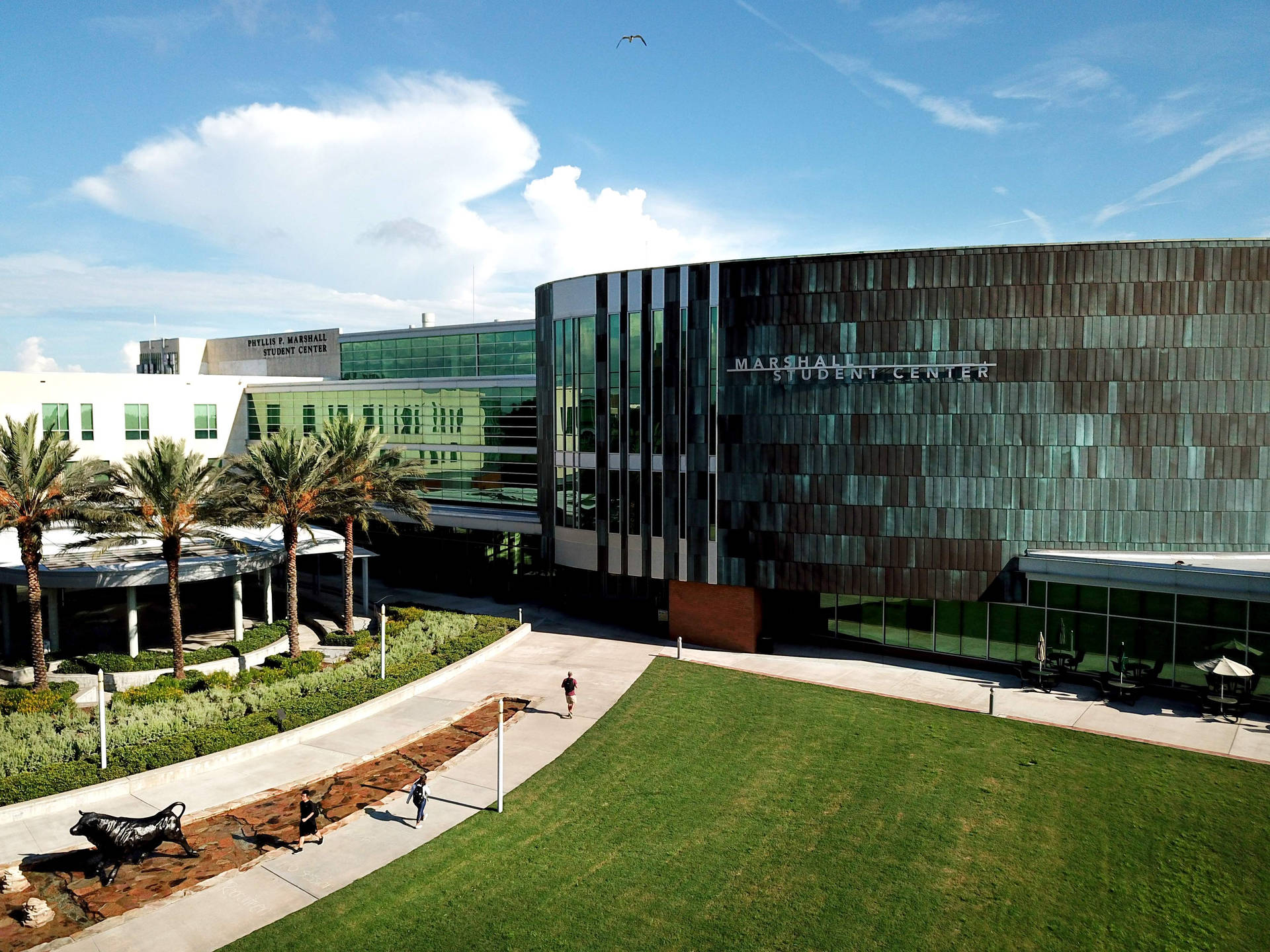 University Of South Florida Marshall Student Center Bbjr6p44vjno1xx8 Wallpaper