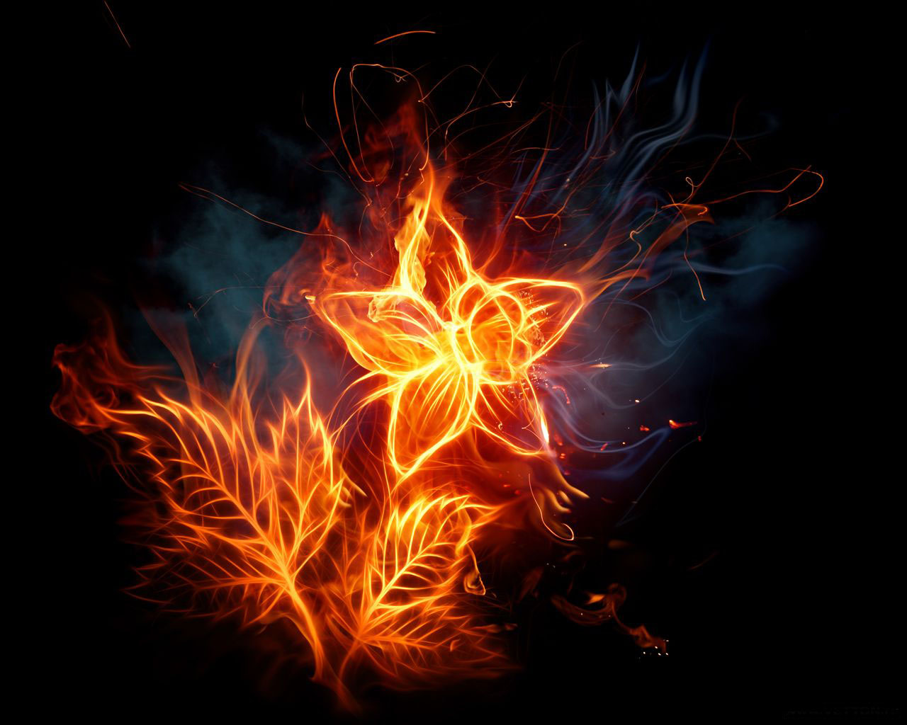 3d Very Beautiful HD Burning Star And Leaves Wallpaper