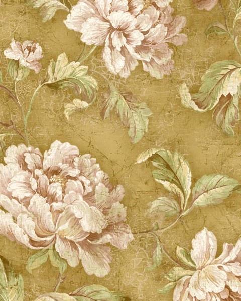 Cabbage Rose Trail Wallpaper Pattern Name