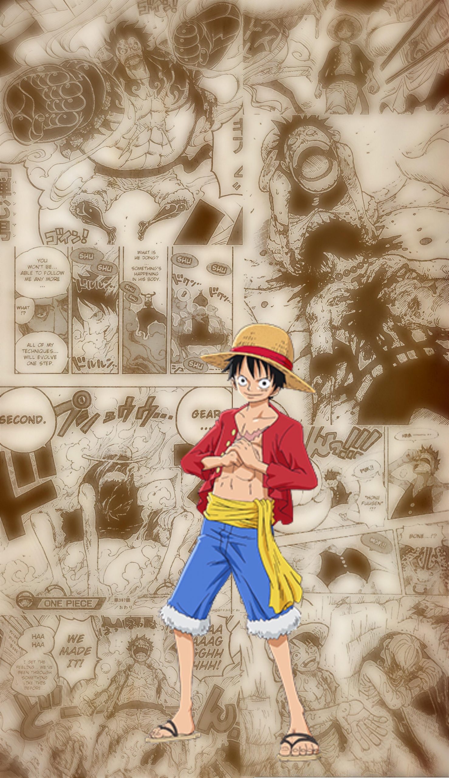 One Piece Wallpapers   Top 45 Best One Piece Backgrounds Download 1478x2560