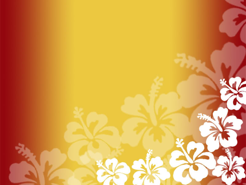 Hibiscus Wallpaper Desktop Background