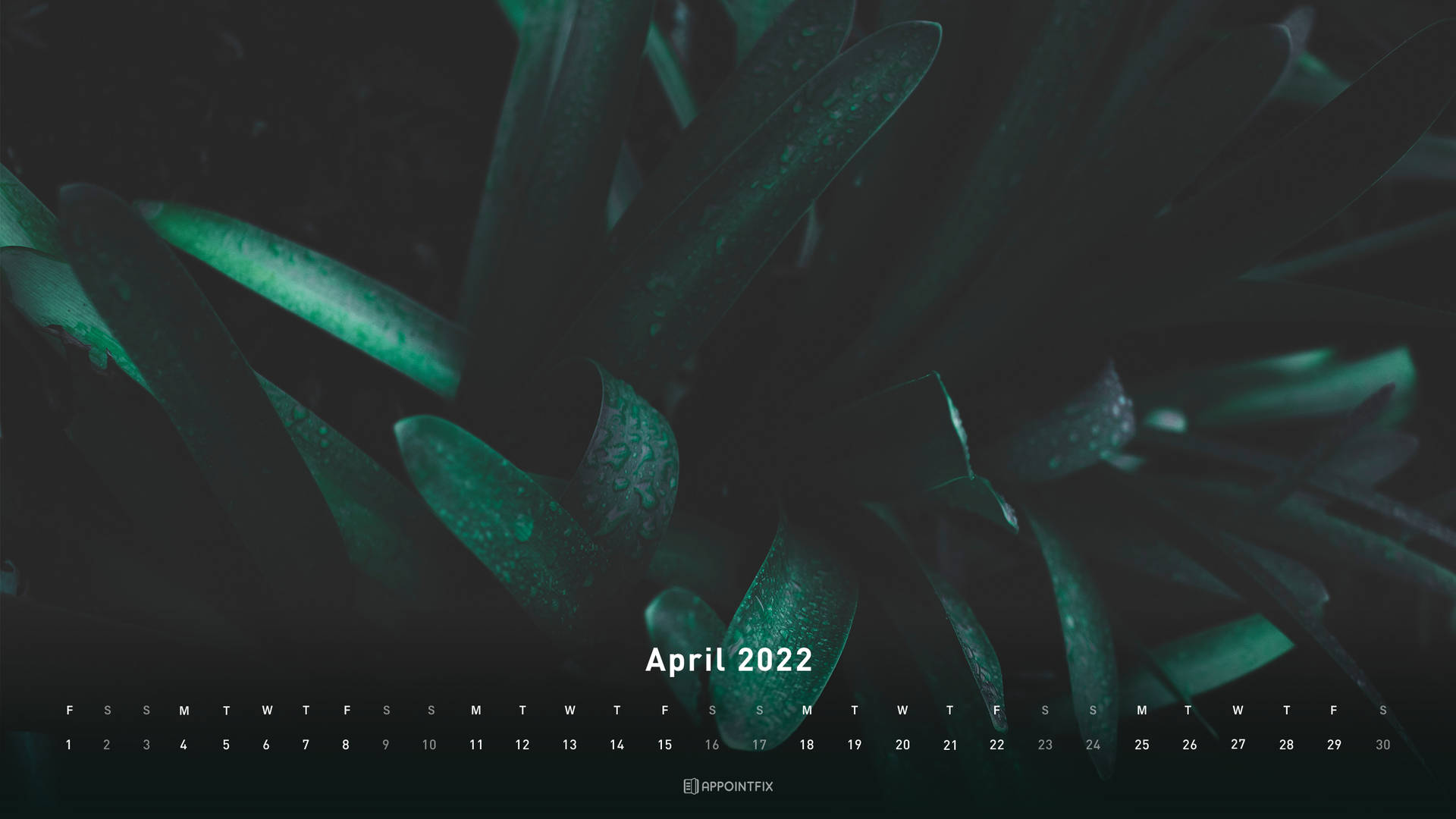 Green Plant April Calendar Wallpaper