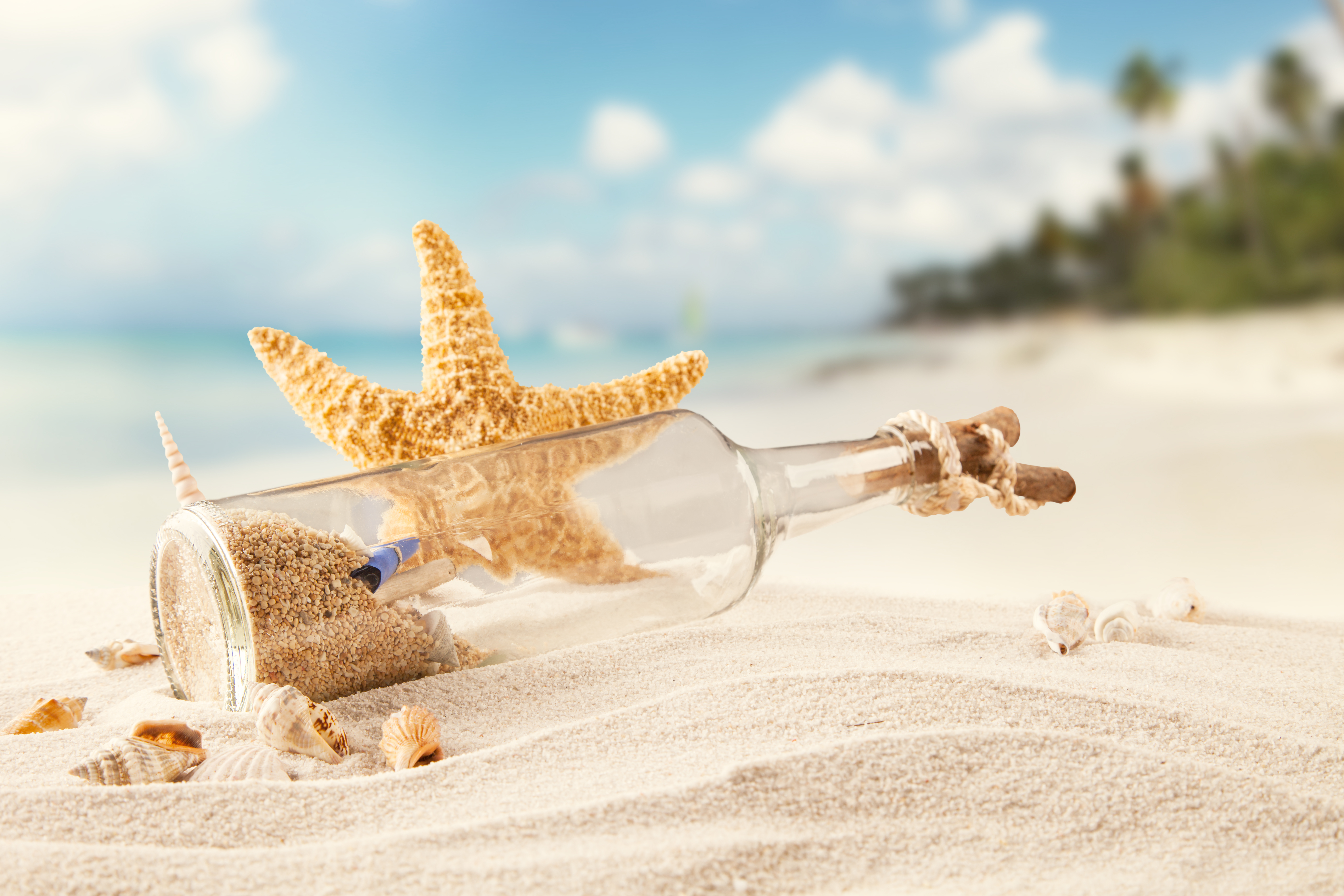 Wallpaper Tropics Sea Beach Sand Bottle Seashells Starfish