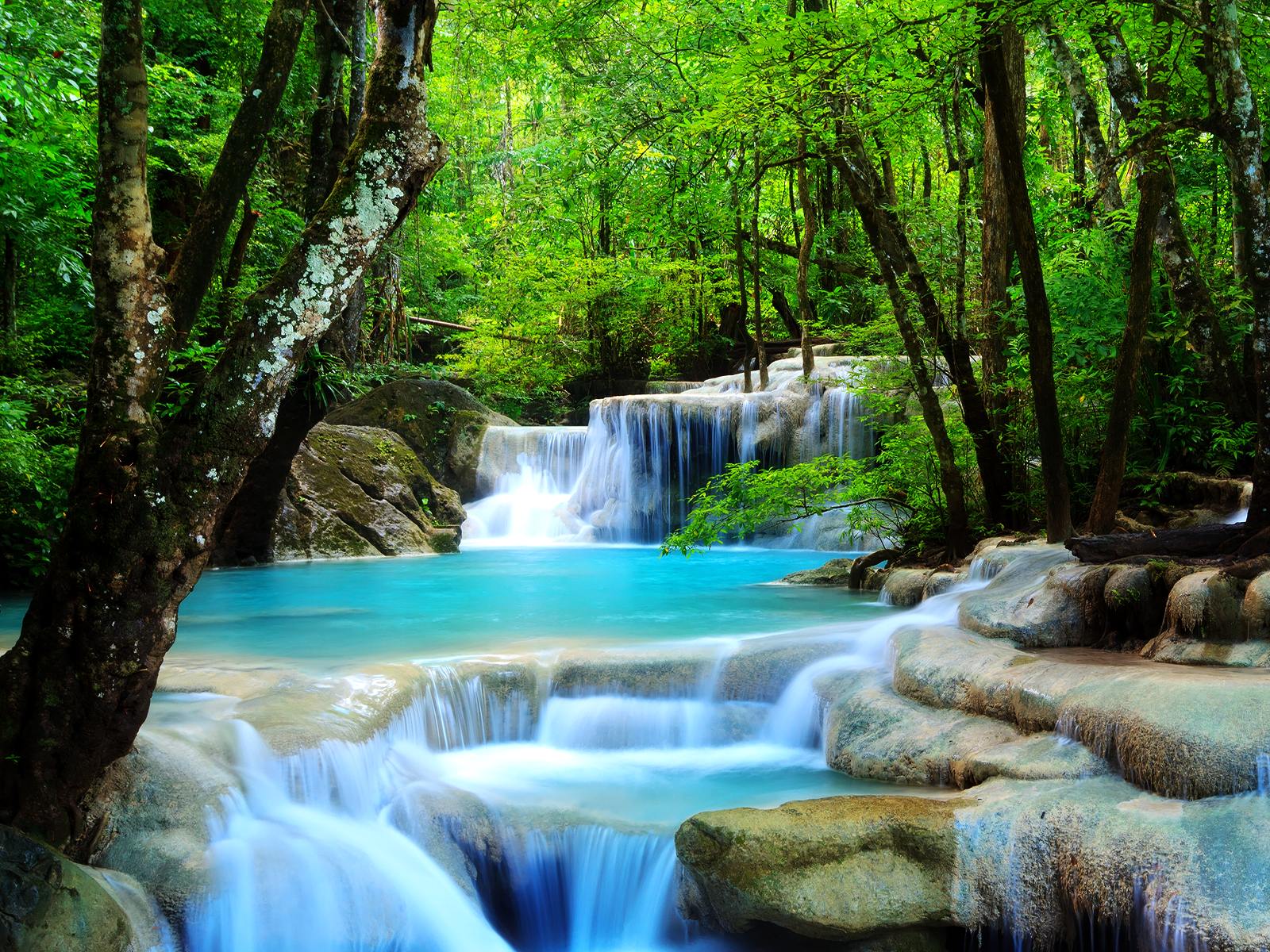 Nature Water Waterfall Live Wallpaper - free download