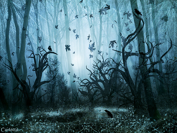 Haunted Forest Wallpaper