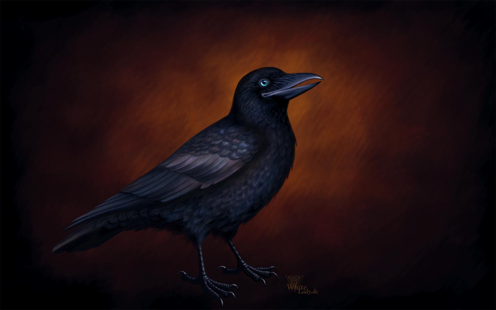 Crow Wallpaper By Ladameblanche