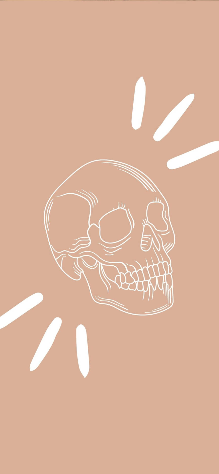 Aesthetic Phone Wallpaper
