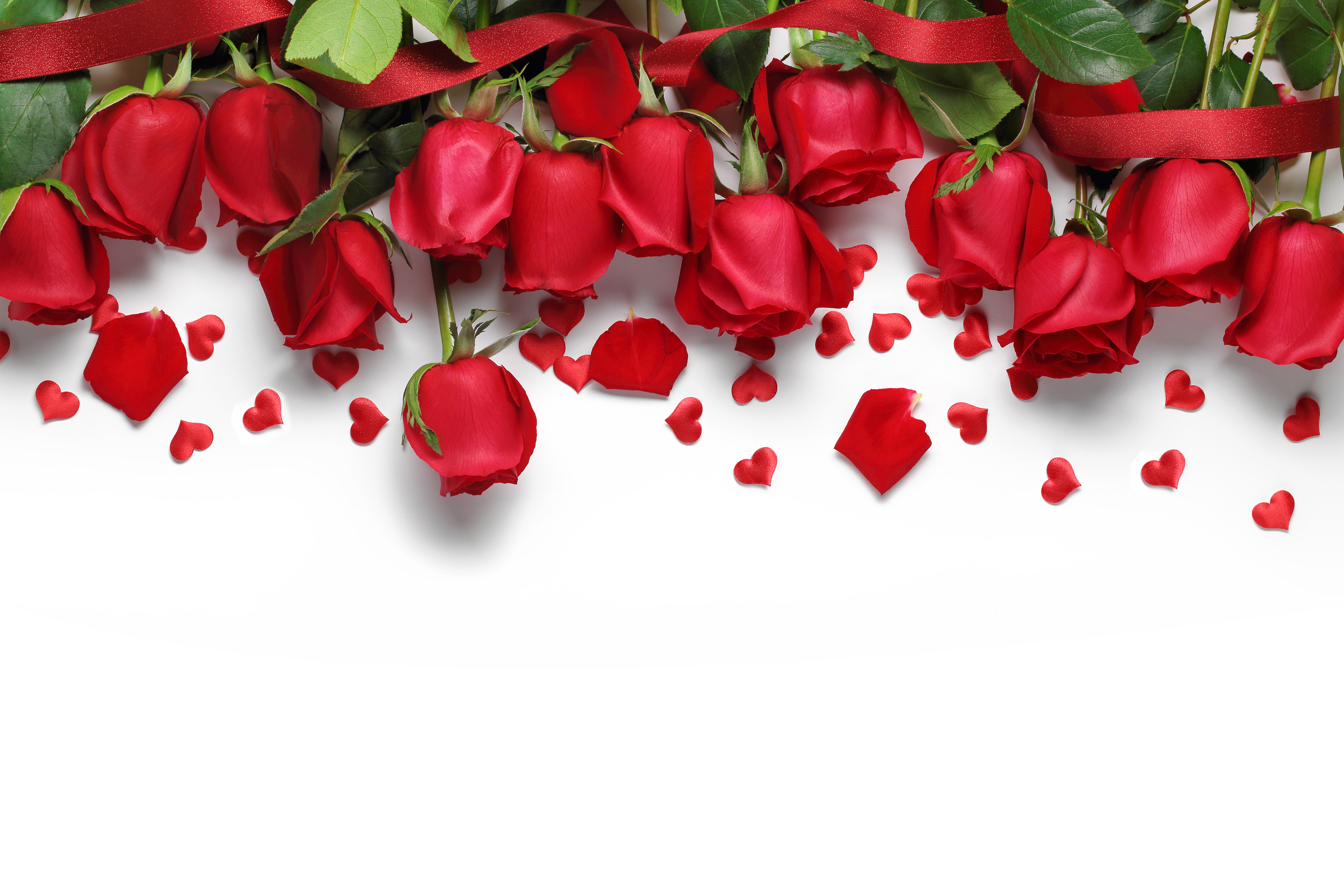 Red Roses White Background Gallery Yopriceville High